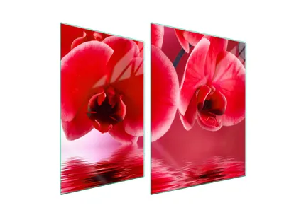 Produktbild von Glasschutzplatte Für Herd 70X52 Orchidee