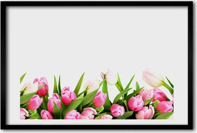 Produktbild von Bild 60x40 MDF-Rahmen, Wandkunst rosa Tulpen