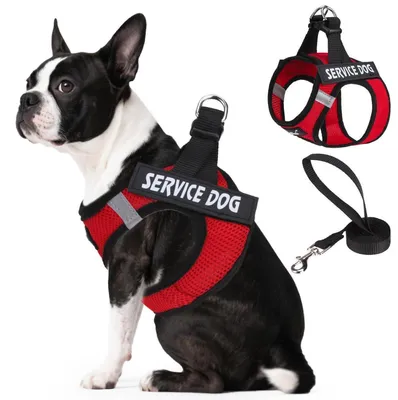 Image de Harnais et laisse pour chiens de service, pour petites races, couleur rouge, taille S