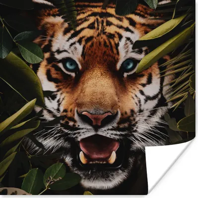 Produktbild von MuchoWow® Poster Tiger - Dschungel - Blätter 30x30 cm - Wandposter - Printing