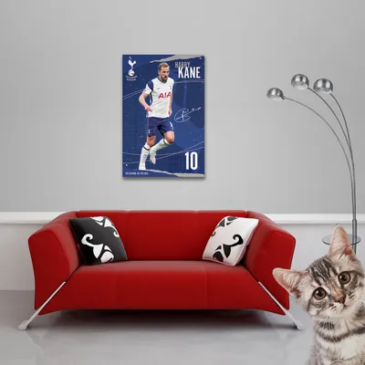 Immagine prodotto di FC Tottenham Hotspur - Poster - Kane + 2 strisce poster in alluminio 63 cm