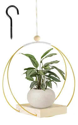 Image de Pot de fleurs suspendu élégant, idéal pour l'intérieur et l'extérieur