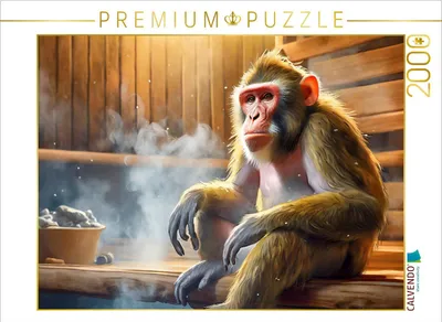 Produktbild von CALVENDO Puzzle Affenhitze | 2000 Teile Lege-Größe 90x67cm Foto-Puzzle für glückliche Stunden
