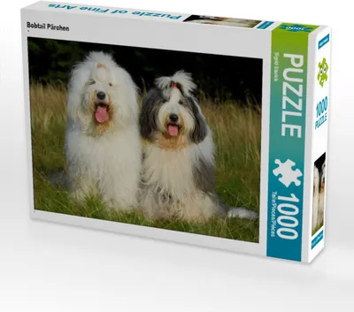 Produktbild von CALVENDO Puzzle Bobtail Pärchen | 1000 Teile Lege-Größe 64x48cm Foto-Puzzle für glückliche Stunden