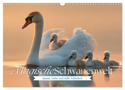 Produktbild von Magische Schwanenwelt (Wandkalender 2027 DIN A3 quer), CALVENDO Monatskalender