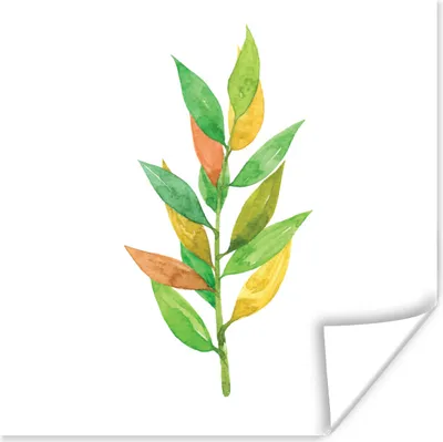 Produktbild von MuchoWow® Poster Aquarelle - Blätter - Pflanzen 75x75 cm - Wand Dekoration