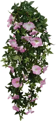 Obrázek produktu pro Slídové dekorace Petúnie - závěsná umělá rostlina - D15 x Š20 x V80 cm - Rosé