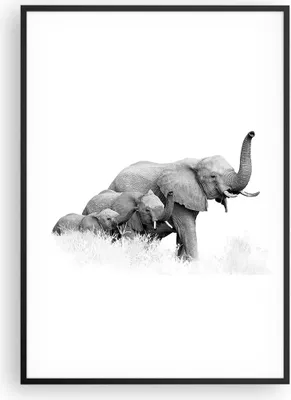 Produktbild von Gerahmtes Poster - Schwarzer Rahmen - Elefanten Familie Schwarz und Weiß - 70x100 cm - Wand Bild - Wanddeko - Wandbilder - Kunstposter - Wandposter - Bilderrahmen - Bilder - P2BPA70x100-4374