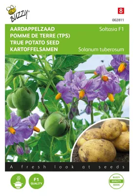 Produktbild von Kartoffelsaatgut Soltasia F1 - SOLHY023 | Gemüsesamen von Buzzy Seeds
