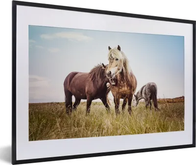 Produktbild von MuchoWow® MuchoWow® Gerahmtes Poster Pferde - Gras - Frühling 60x40 cm - Poster mit zchwarzem Bilderrahmen - Schlafzimmer - Plakat in Rahmen - Drucken