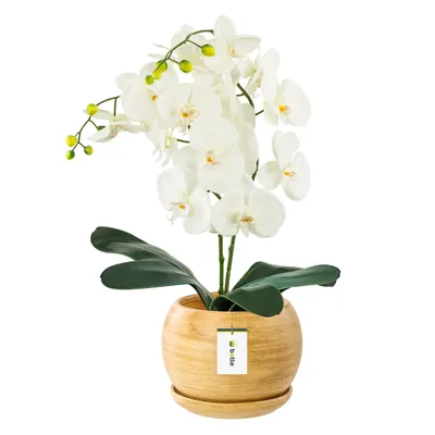 Obrázok produktu pre Keramický květináč Koule s podšálkem světle hnědá Okrúhly matt s drenážním otvorem Výška 16 cm