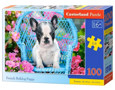 Obrázok produktu pre CASTORLAND puzzle 100 dielikov - Šteňa buldočka