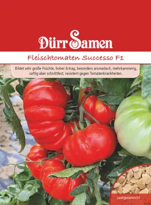 Artikelbild 1 von 'Fleischtomaten Successo F1' aus der Kategorie Fleischtomatensamen