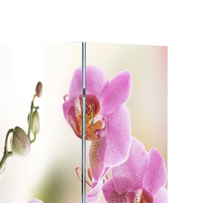 Immagine prodotto di Paravento Pieghevole 160x170cm con Stampa Fiore