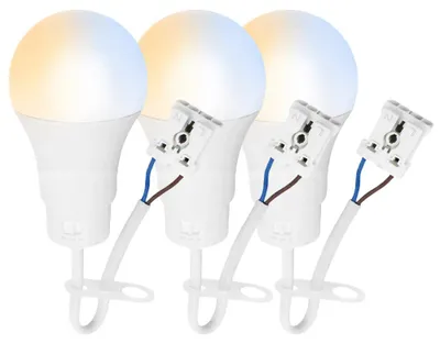 Productafbeelding van 3 x LED werklamp voor renovatie en verbouwing, met A60 lamp, 10W, 1100lm, kleurtemperatuur 2700K/4000K/6500K, met stekkerklem