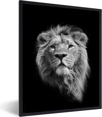 Produktbild von MuchoWow® MuchoWow® Gerahmtes Poster Löwe - Porträt - Schwarz - Weiß 60x80 cm - Poster mit zchwarzem Bilderrahmen - Premium - Wanddeko Wohnzimmer