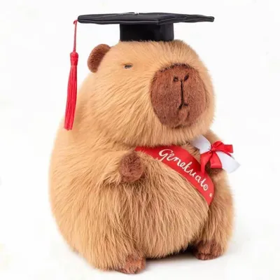 Productafbeelding van Pluche capibara knuffel met doktersmuts en diploma, 25 cm, cadeau voor een afstudeerfeest