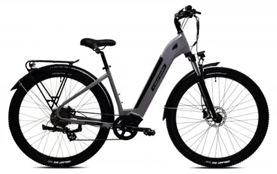 Obrázek produktu pro Elektrické kolo Capriolo E-City28-Journey, barva šedá