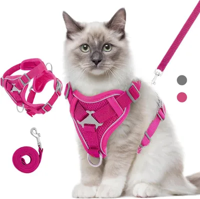 Image de Harnais et laisse pour chat, pour promenade, réglables, en mesh respirant, avec bandes réfléchissantes