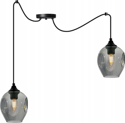 Obrázok produktu pre Prage Spider Pendant Lamp - Závesné svietidlo v tvare pavúka - Stropné svietidlo - Pavúk s 2 hlavicami - Závesné svietidlo z kovu a skla - Grafit
