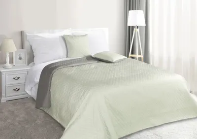 Image de Eurofirany TITO Plaid Doux 220x240 Menthe et Gris