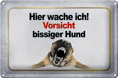 Produktbild von Blechschild Hinweis 30x20cm Vorsicht bissiger Hund