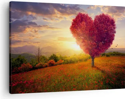 Produktbild von Bild auf Leinwand - Leinwandbild - Baum Wiese Blume - 70x50cm - Wand Bild - Wanddeko - Wandbilder - Leinwanddruck - Bilder - Kunstdruck - Wanddekoration - Leinwand bilder - Wandkunst - AA70x50-3790