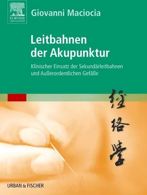 Produktbild von Leitbahnen der Akupunktur
