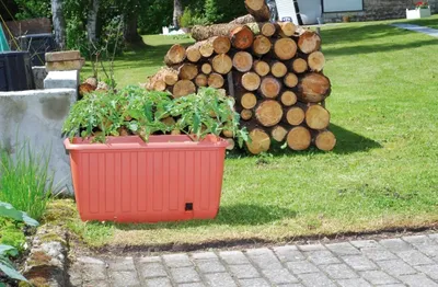 Produktbild von Pflanzkasten "Ambizioso" aus Kunststoff ohne Rollen, Farbe: Terracotta. Lang anhaltende Bewässerung. Integriertes Überlaufsystem.