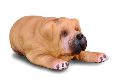 Zdjęcie produktu dla COLLECTA dog Shar Pei S 88194 puppy 5cm