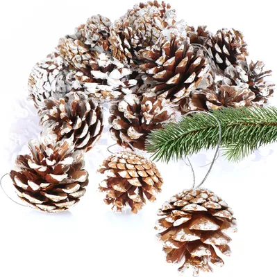 Produktbild von COM-FOUR® 20x Tannenzapfen-Anhänger mit weißen Spitzen, Weihnachtsdeko
