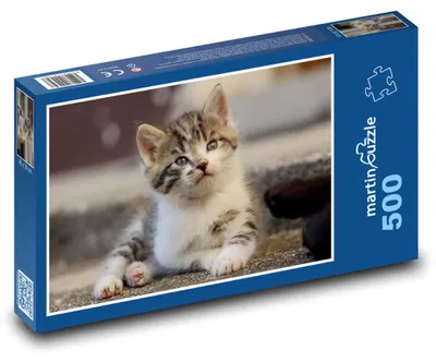 Obrázok produktu pre Puzzle 500 Roztomilé sivé mačiatko - martinpuzzle
