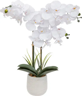 Obrázek produktu pro Umělý vstavač v květináči RIVA, 60 cm