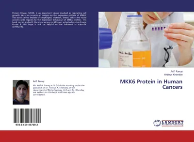 Produktbild von MKK6 Protein in Human Cancers