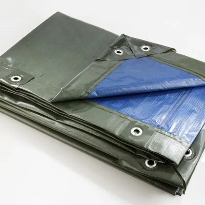 Produktbild von Abdeckplane, grün/blau, super stark 250 g/ m²,4 x 6 m