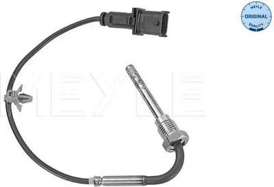 Image de Capteur, Abgastemperatur