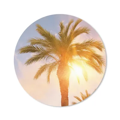 Produktbild von MuchoWow® Mauspad Mousepad Palme - Sommer - Sonne - Tropisch 30x30 cm - Mousepads - Maus Mat - Pad - Mausunterlage - Tischunterlage - Schreibtischmatten