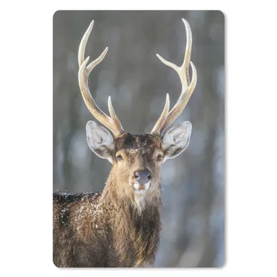 Produktbild von MuchoWow® Mauspad Mousepad Hirsch - Weiß - Braun - Geweih 18x27 cm - Mousepads - Maus Mat - Pad - Mausunterlage