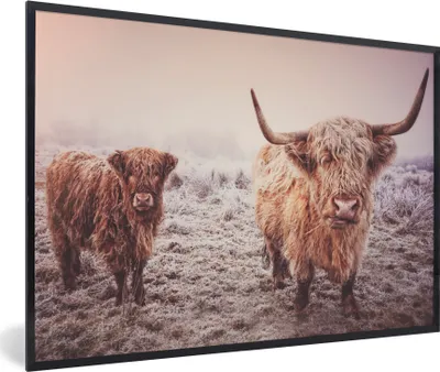 Produktbild von MuchoWow® Gerahmtes Poster Schottische Highlander - Schnee - Sonne 90x60 cm - Poster mit Schwarzem Bilderrahmen Wandposter Rahmen Foto Bilder - Fotorahmen - Foto-Plakat