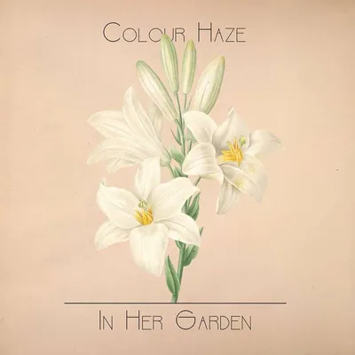 Produktbild von In Her Garden