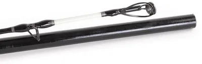 Produktbild von EFT Steckrute Waller 600 3,00m / 200-600g Wallerrute
