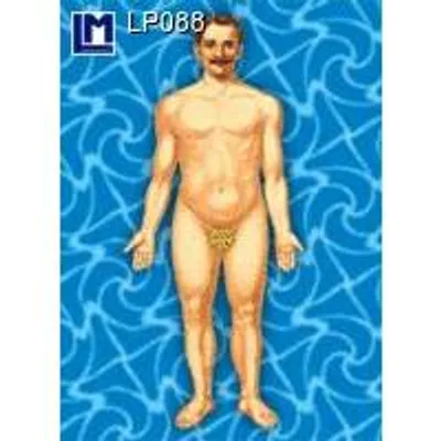 Produktbild von Postkarte mit Wackelbild 'Anatomie'
