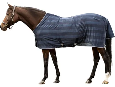 Image de Waldhausen Chemise anti-mouches Economic bleu nuit 85 cm
