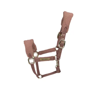 Produktbild von Kentucky Horsewear Halfter mit Teddyfell Nylonhalfter Old Rose Cob