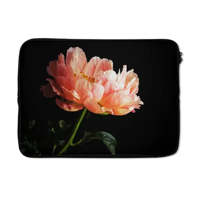 Produktbild von MuchoWow® Laptop Hülle 14 ZollKorallenfarbene Pfingstrose Laptoptasche - Laptoptasche - Stoßsicher - Schutzhaube
