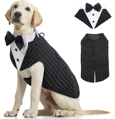 Produktbild von Hund Smoking Anzug & Bandana Set, Haustier Fomal Kleidung, Hunde Mantel mit Abnehmbarer Fliege, Hundeanzug Welpe Kostüm Shirt, Gestreift, S-XXL