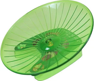 Produktbild von Nagetier-Lärmtrainingsscheibe 21 cm grün