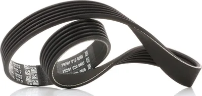 Produktbild von DAYCO Keilrippenriemen 736,0mm für VW Golf VII Schrägheck (5G1, BQ1, BE1, BE2) 6PK736
