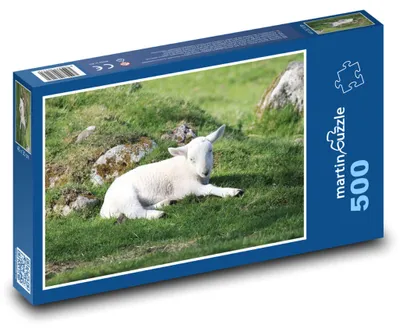 Zdjęcie produktu dla Puzzle 500 Jagniątko na zielonej łące - martinpuzzle