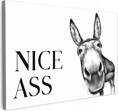 Produktbild von MuchoWow® - Leinwandbilder - Zitat - Esel - Tiere - Netter Esel - Sprichwörter, Wandbild, Wanddeko Bilder Wohnzimmer, 60x40 cm